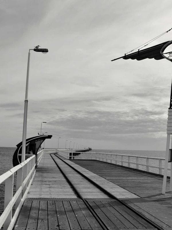 Ariana Bianchi portfolio