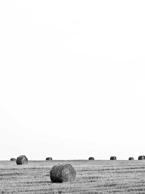 Layla Ahmed portfolio
